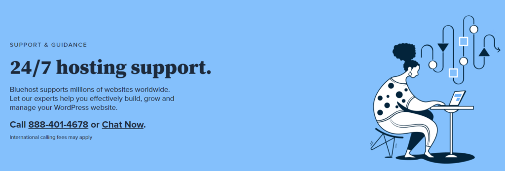 Screenshot of the customer support section on Bluehost website