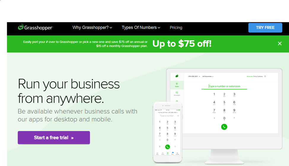 Screenshot of Grasshopper homepage - Run your business from anywhere