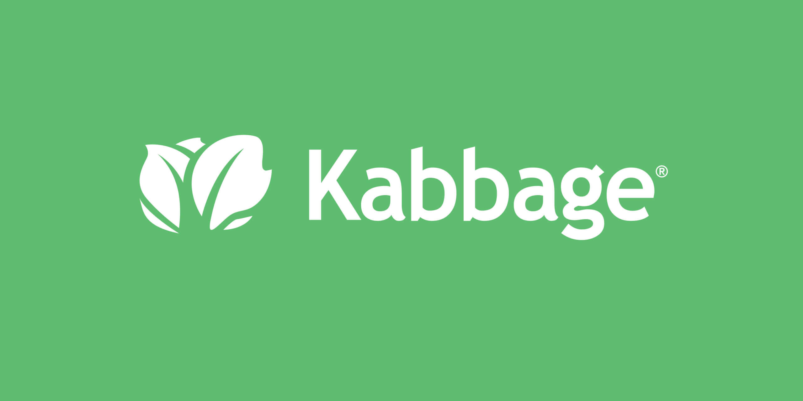 Kabbage Review 2023 –  Easy Approval for Small Business Loans